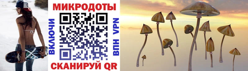 Галлюциногенные грибы GOLDEN TEACHER  Кирово-Чепецк 